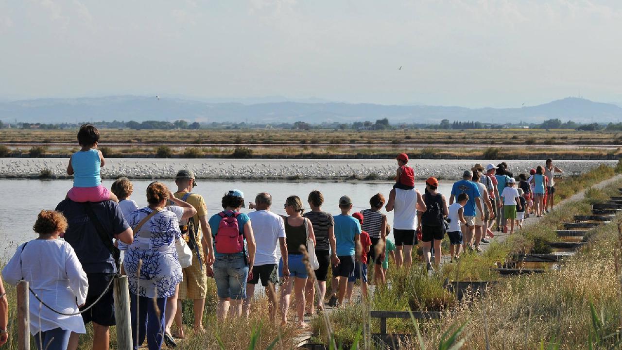 Comacchio e il Parco del Delta “salvano” la Salina di Cervia