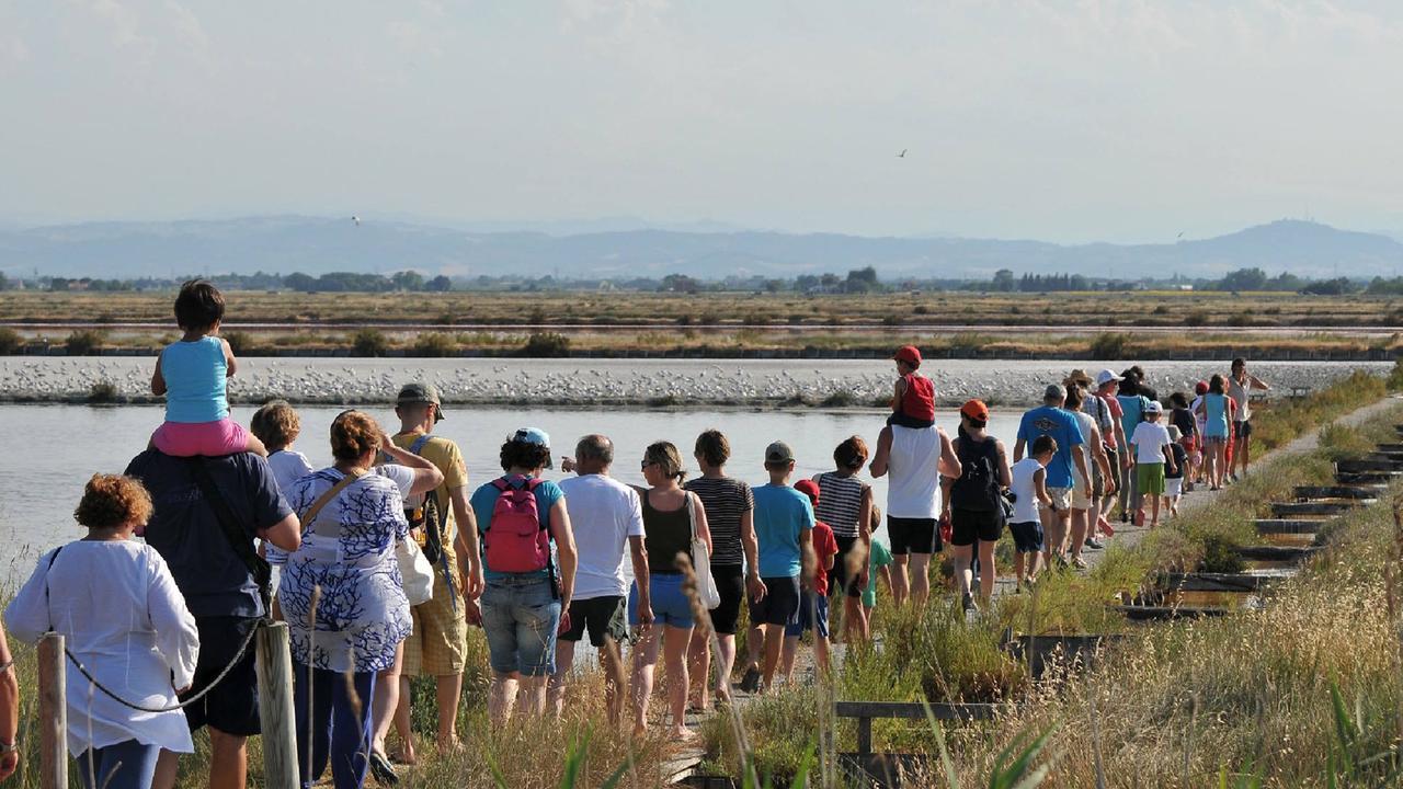 Comacchio e il Parco del Delta “salvano” la Salina di Cervia