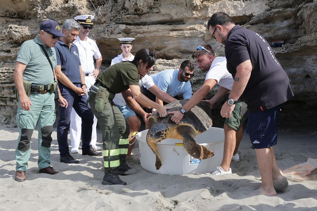 La tartaruga Boomerang torna in mare dopo tre mesi di cure nel CReS