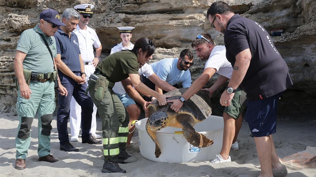 La tartaruga Boomerang torna in mare dopo tre mesi di cure nel CReS