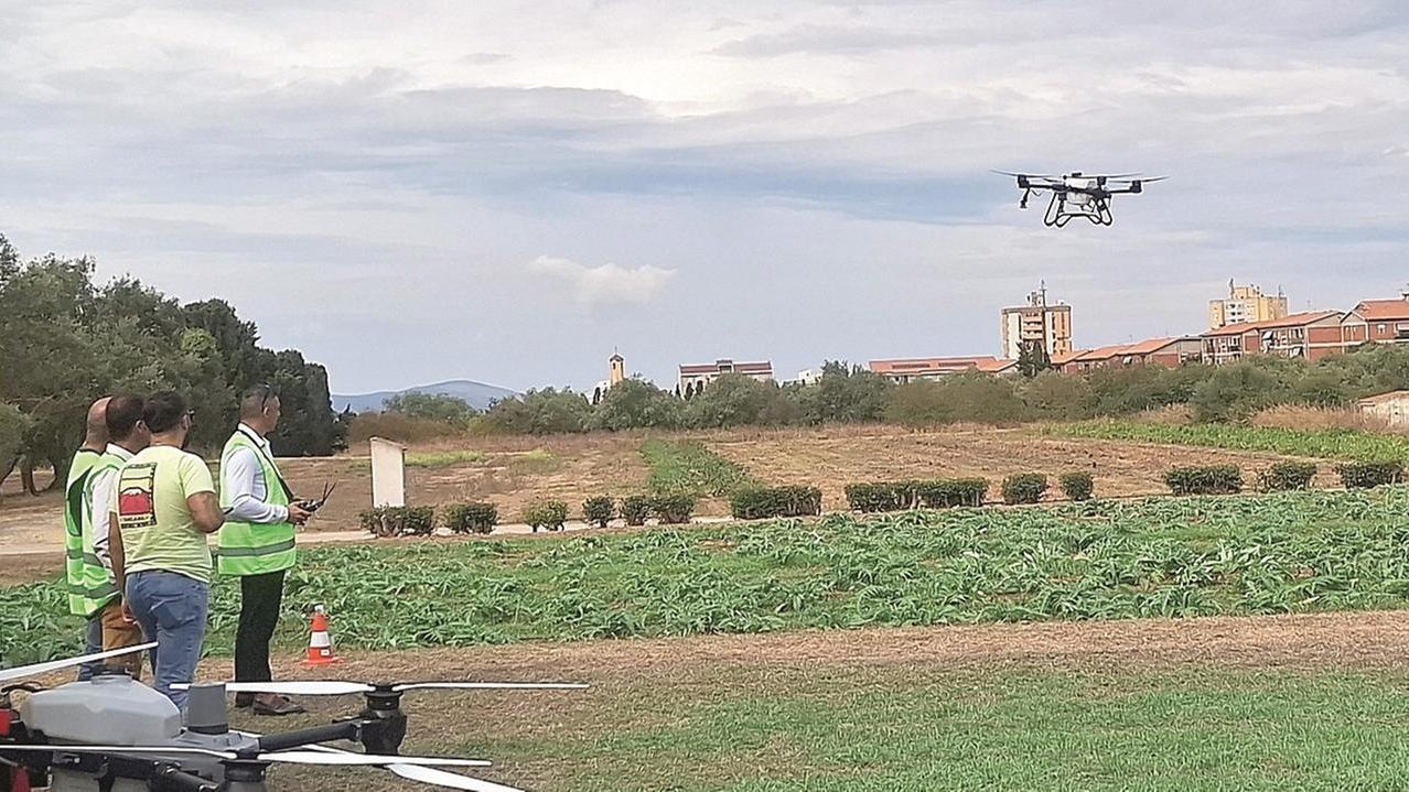 Sassari, all’agrario c’è un campo volo per i droni: è la prima volta in una scuola italiana – Il progetto