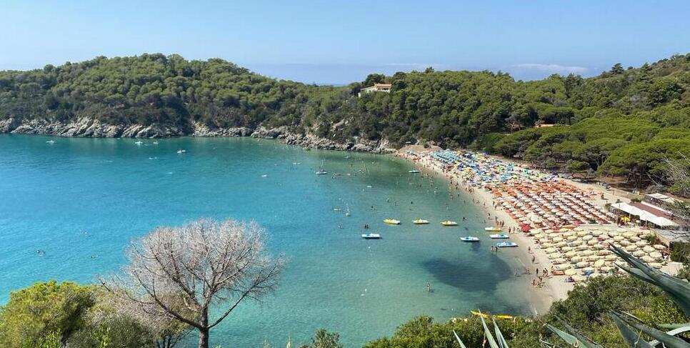 
	La spiaggia a Fetovaia


