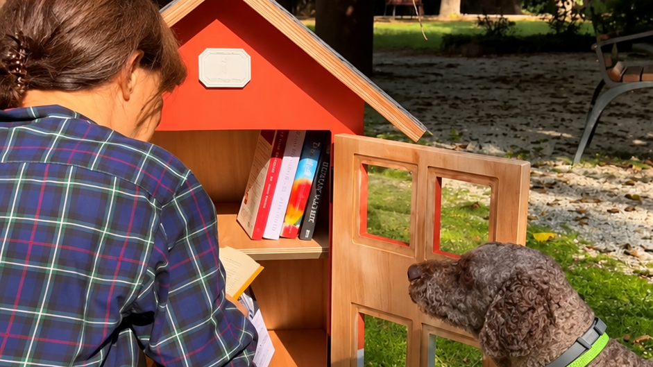 Perché il bookcrossing al Parco Cervi non è solo una casetta dei libri, ma un progetto per far rivivere il centro storico