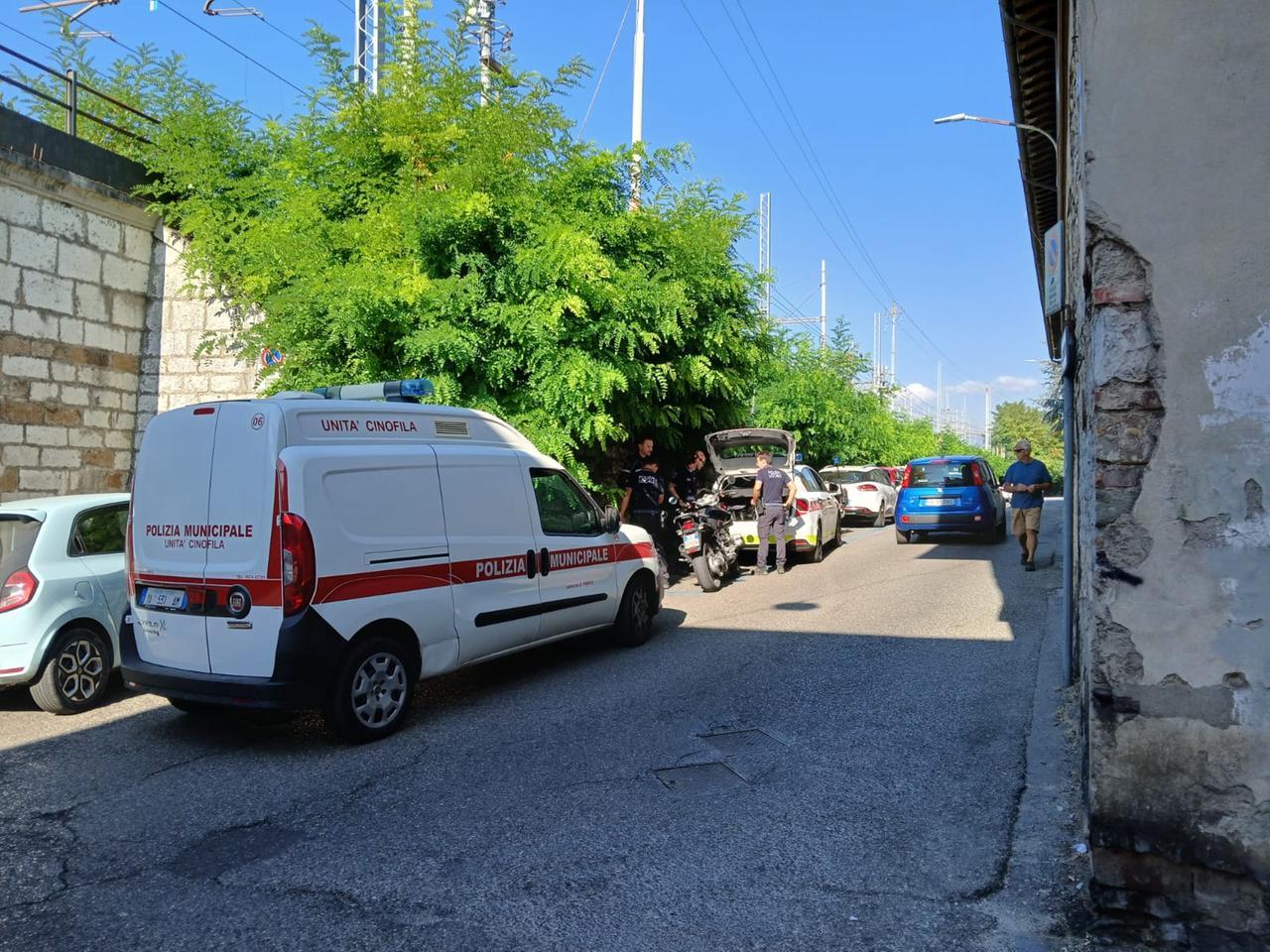 
	L'intervento della polizia locale in via della Fonderia

