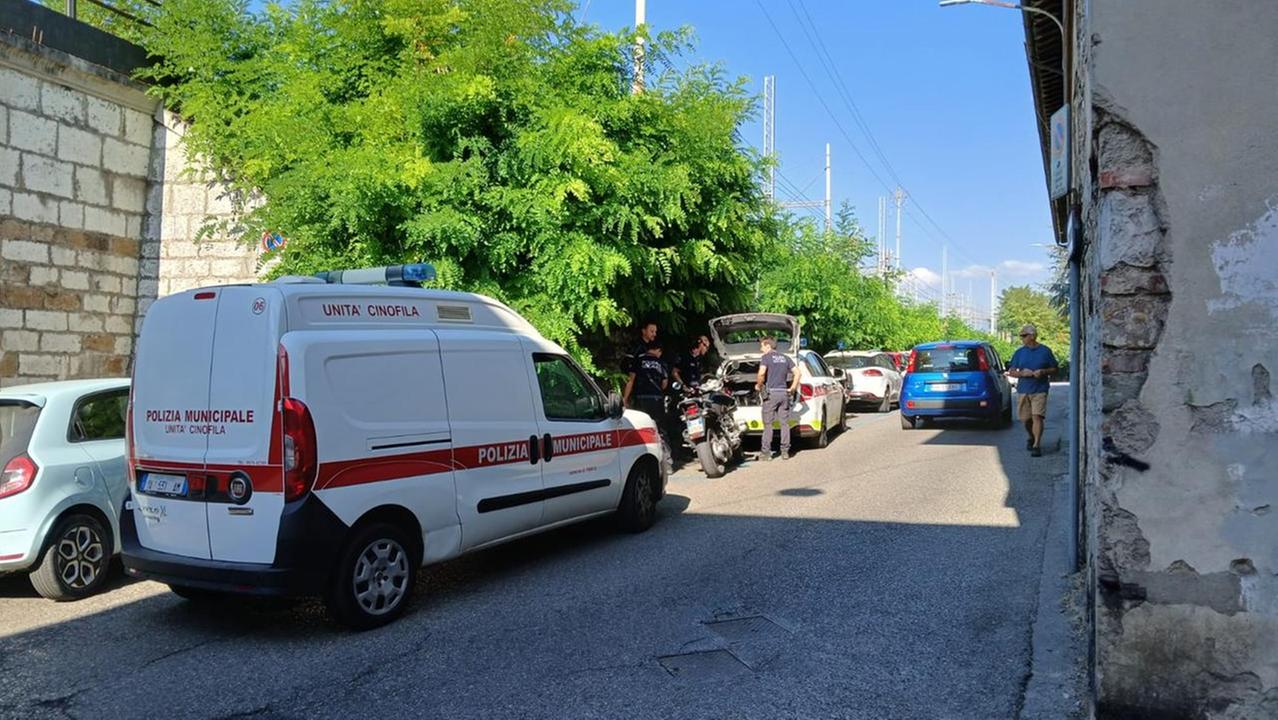 L'intervento della polizia locale in via della Fonderia