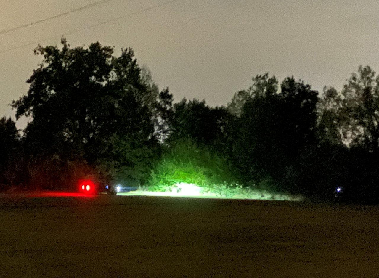 Spari nella notte vicino alle case ad Albinea: era un abbattimento autorizzato di cinghiali