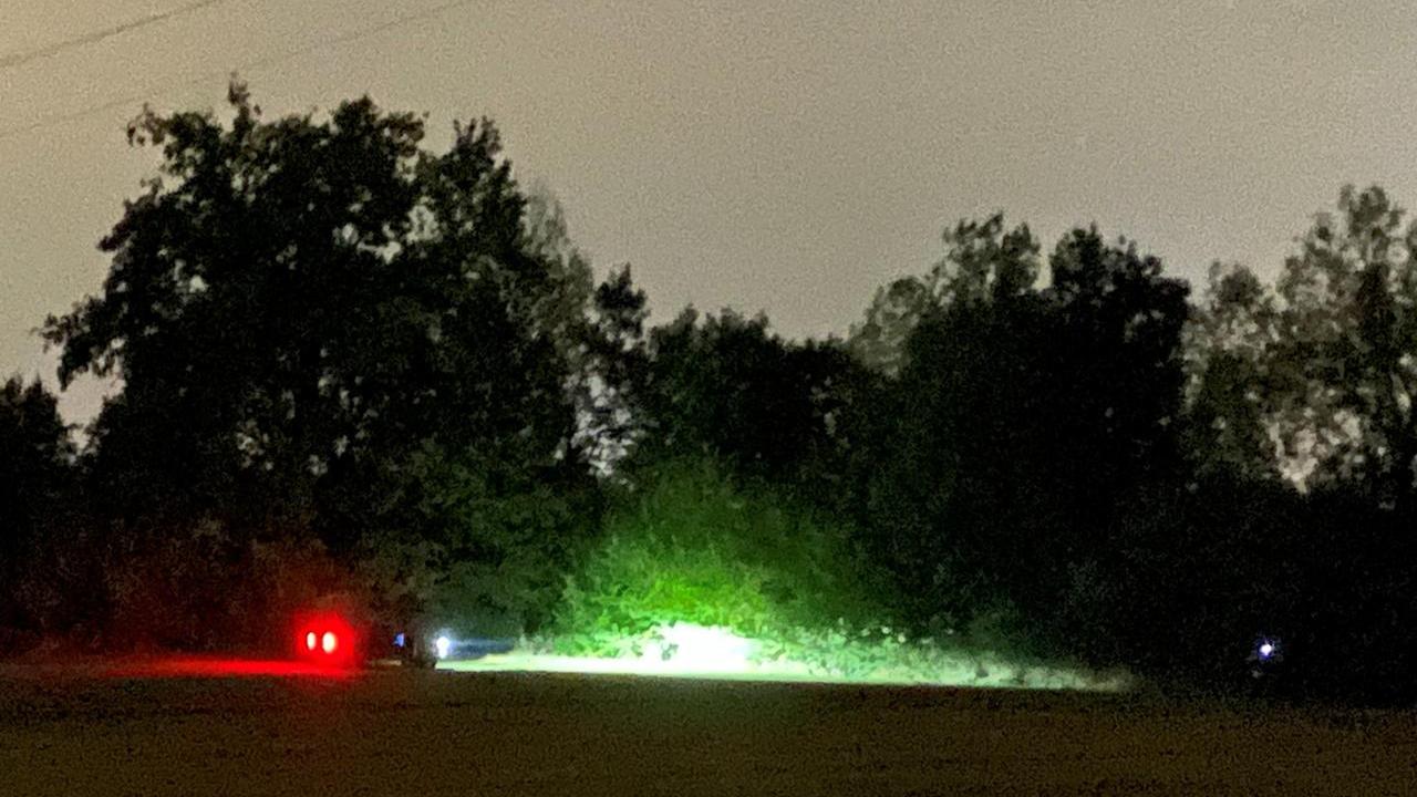 Spari nella notte vicino alle case ad Albinea: era un abbattimento autorizzato di cinghiali