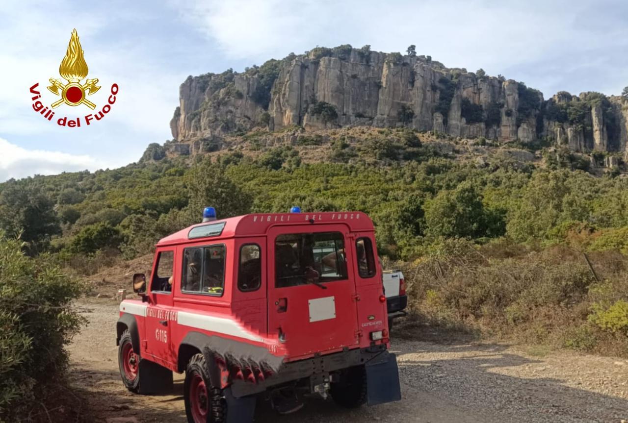I vigili del fuoco salvano 4 capre bloccate sulla falesia