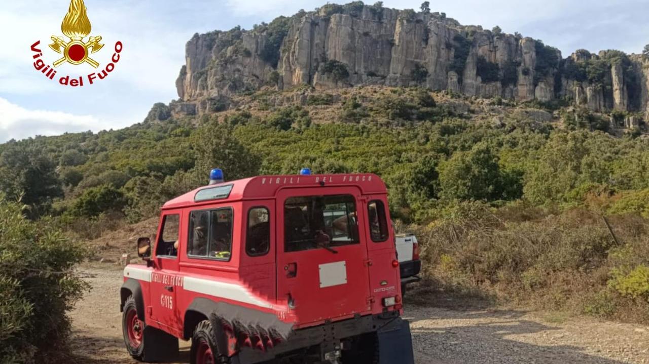 I vigili del fuoco salvano 4 capre bloccate sulla falesia