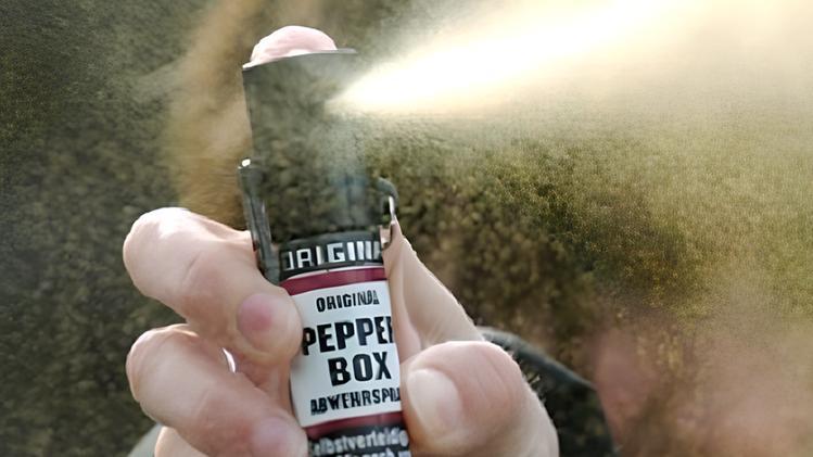 Ferrara, ancora tensione a scuola: spray urticante usato in aula