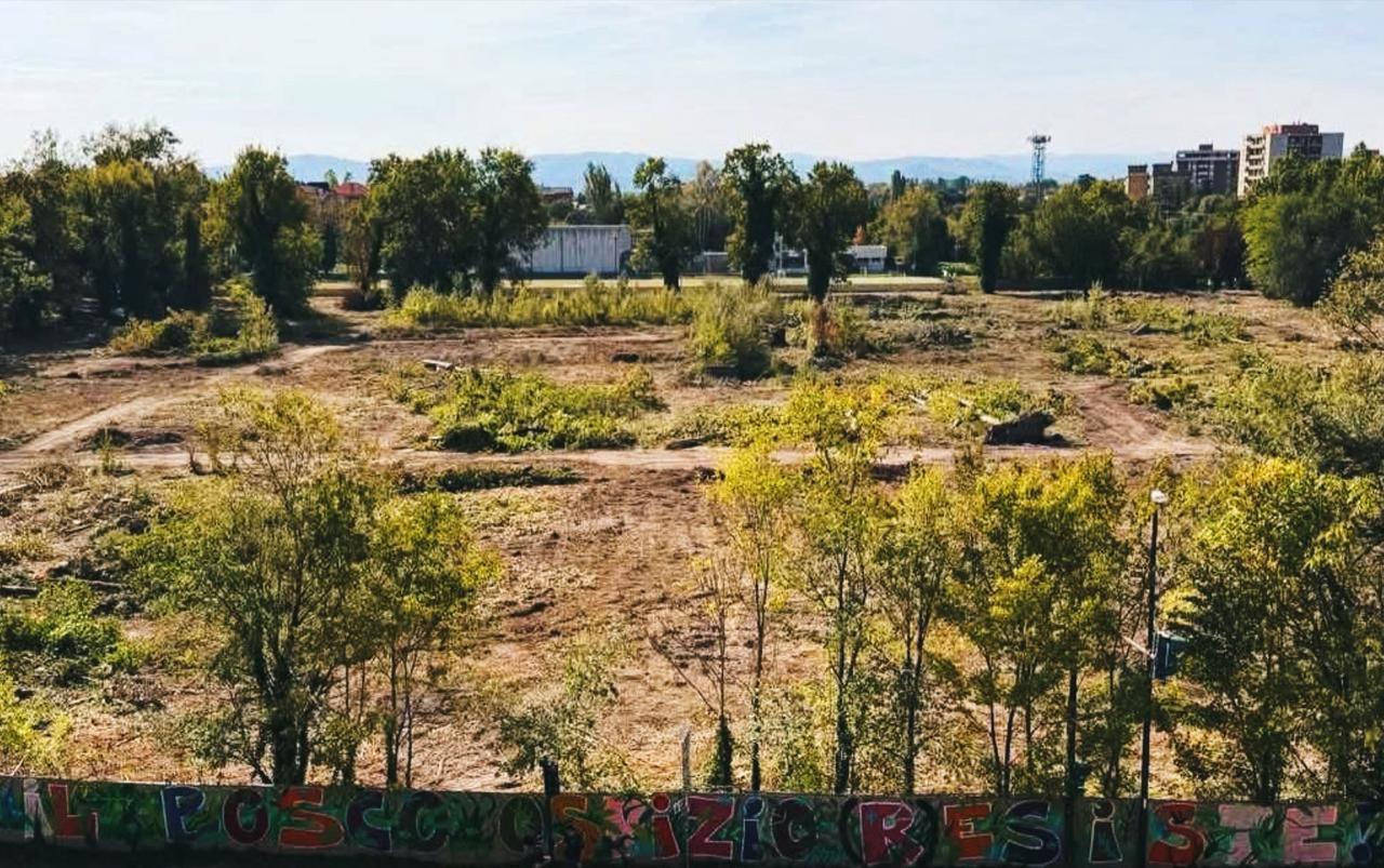 Bosco Ospizio, il Consiglio di Stato blocca nuovi abbattimenti