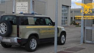 Trovato un ordigno esplosivo con potenza di un chilo di tritolo: arrestata una 26enne, 20 persone indagate