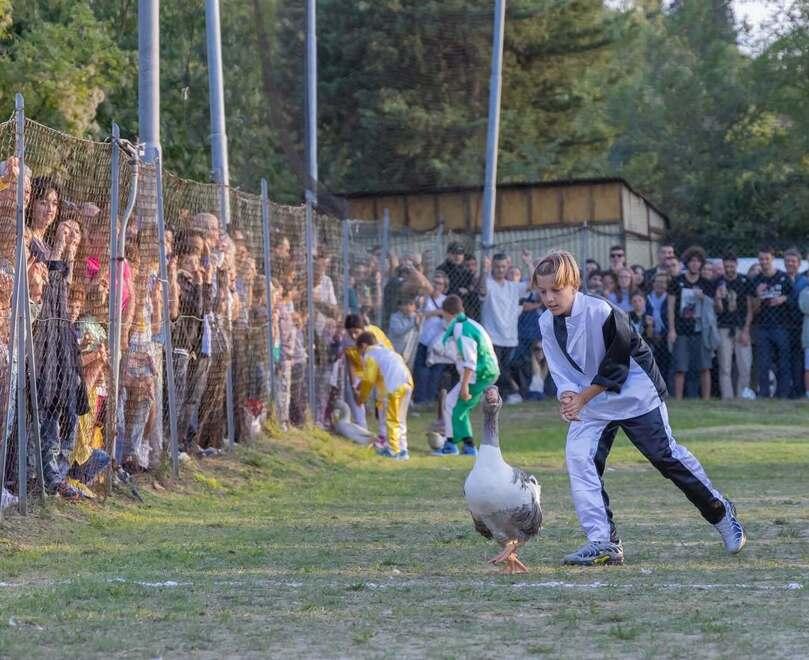 
	Un momento del Palio del papero durante un&rsquo;edizione del passato

