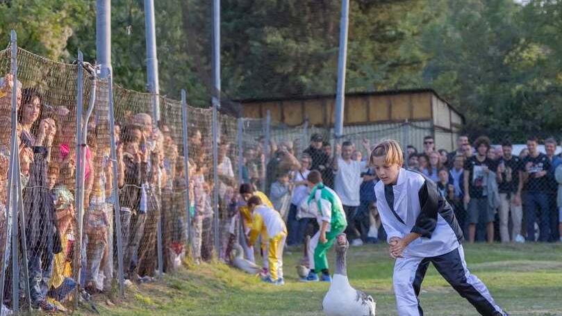 Un momento del Palio del papero durante un’edizione del passato