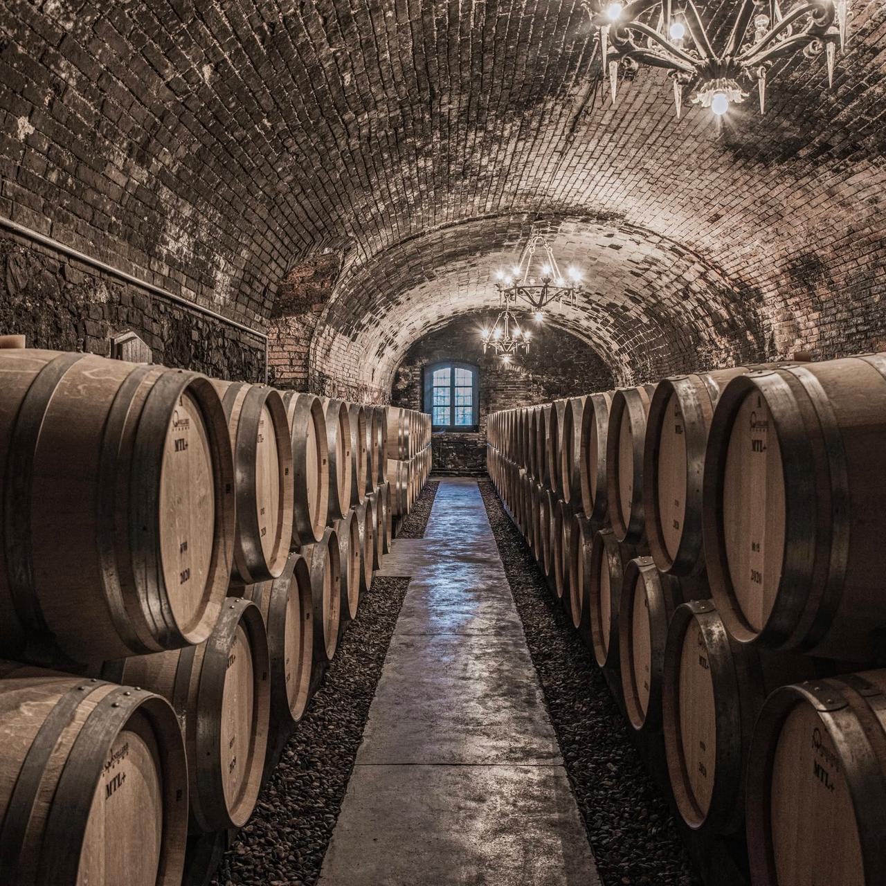 Colpo da 5 milioni alla cantina Antinori: la banda del vino ruba 30mila pregiatissime bottiglie