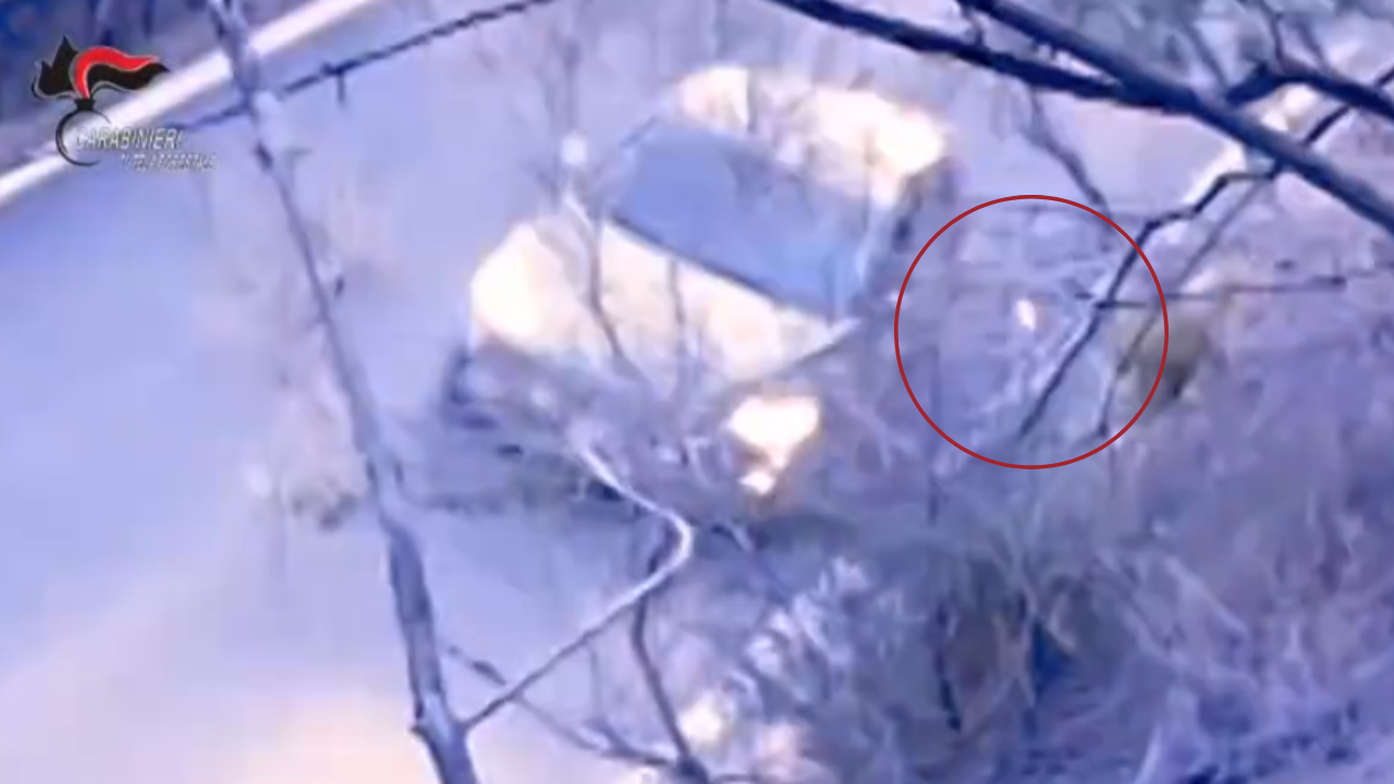Un fermo immagine del video che mostra il lancio del fazzoletto infuocato nel bosco
