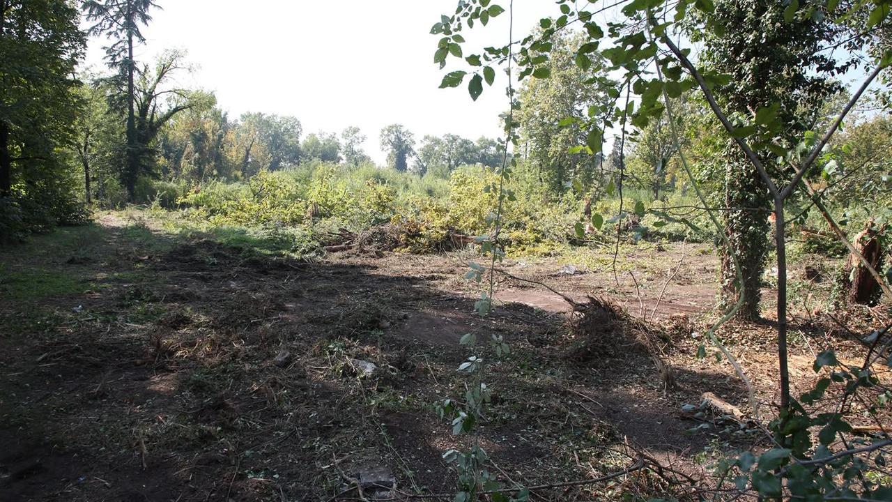 Bosco Ospizio, il legale di Legambiente: «La salvaguardia del verde farà scuola»