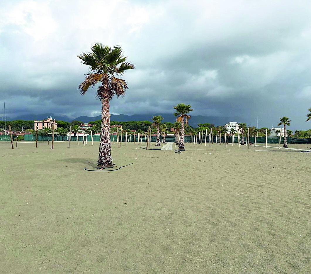 
	Stagione turistica finita a Marina di Pietrasanta

