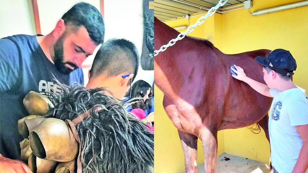 Sassari, a cavallo per superare gli ostacoli: una sfida per i minori in difficoltà - La storia