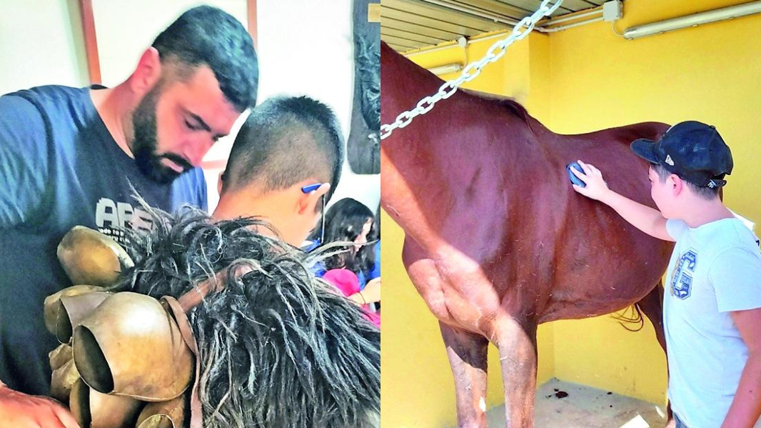 Sassari, a cavallo per superare gli ostacoli: una sfida per i minori in difficoltà - La storia