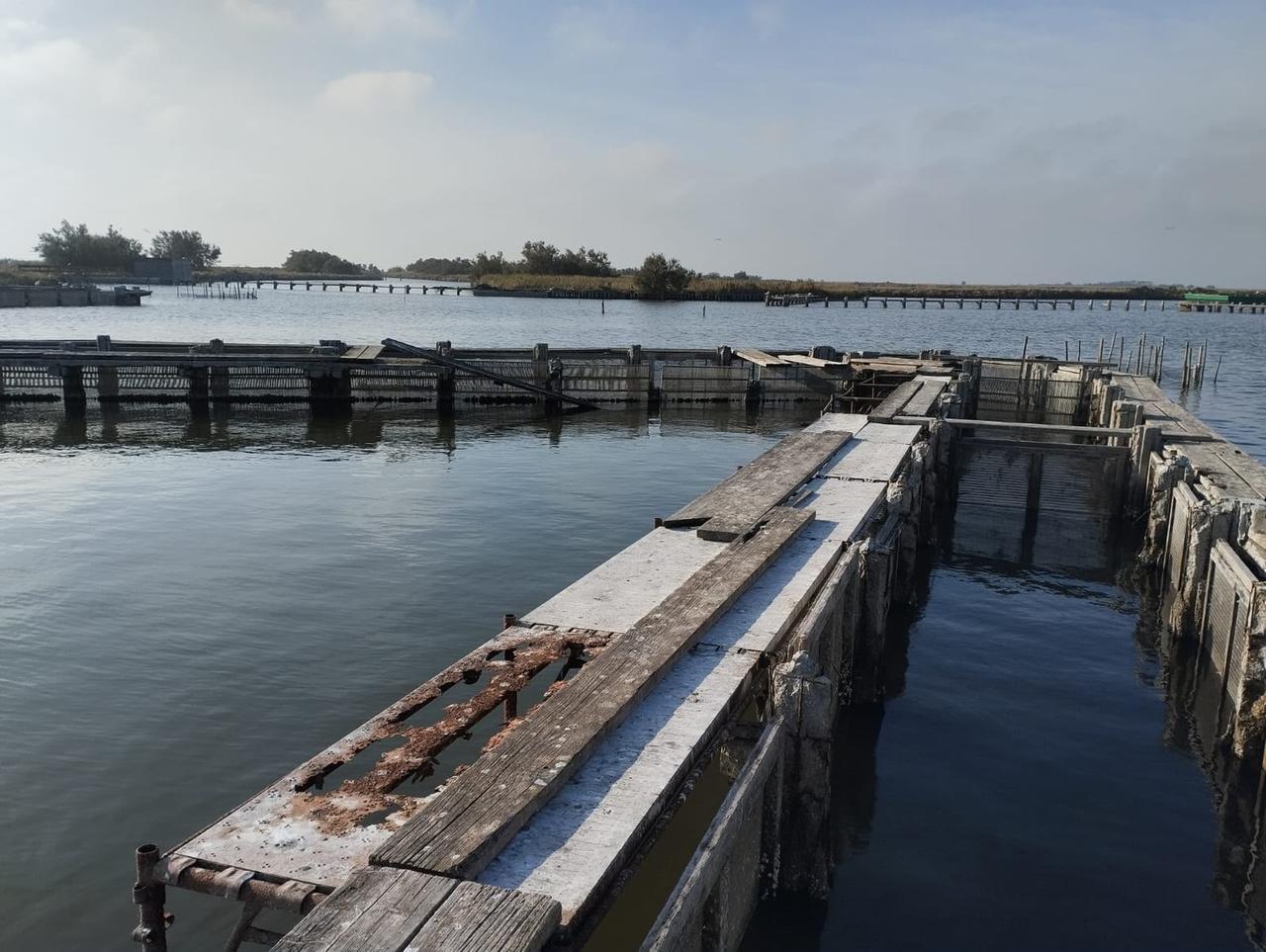 Comacchio, scoppia la querelle sulle Valli: «Anche il lavoriero è crollato»