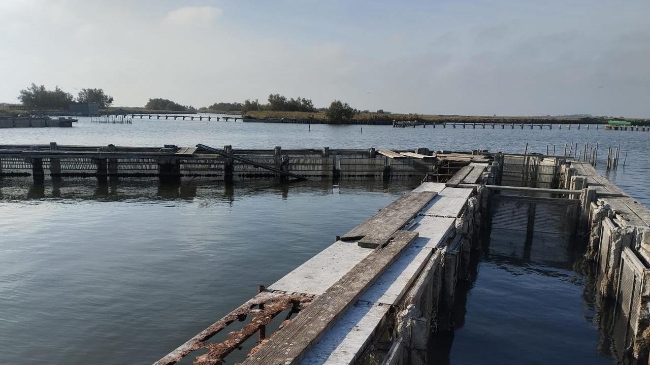 Comacchio, scoppia la querelle sulle Valli: «Anche il lavoriero è crollato»