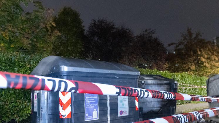 Quartiere ostaggio di una banda. «A Modena est serve l’Esercito»