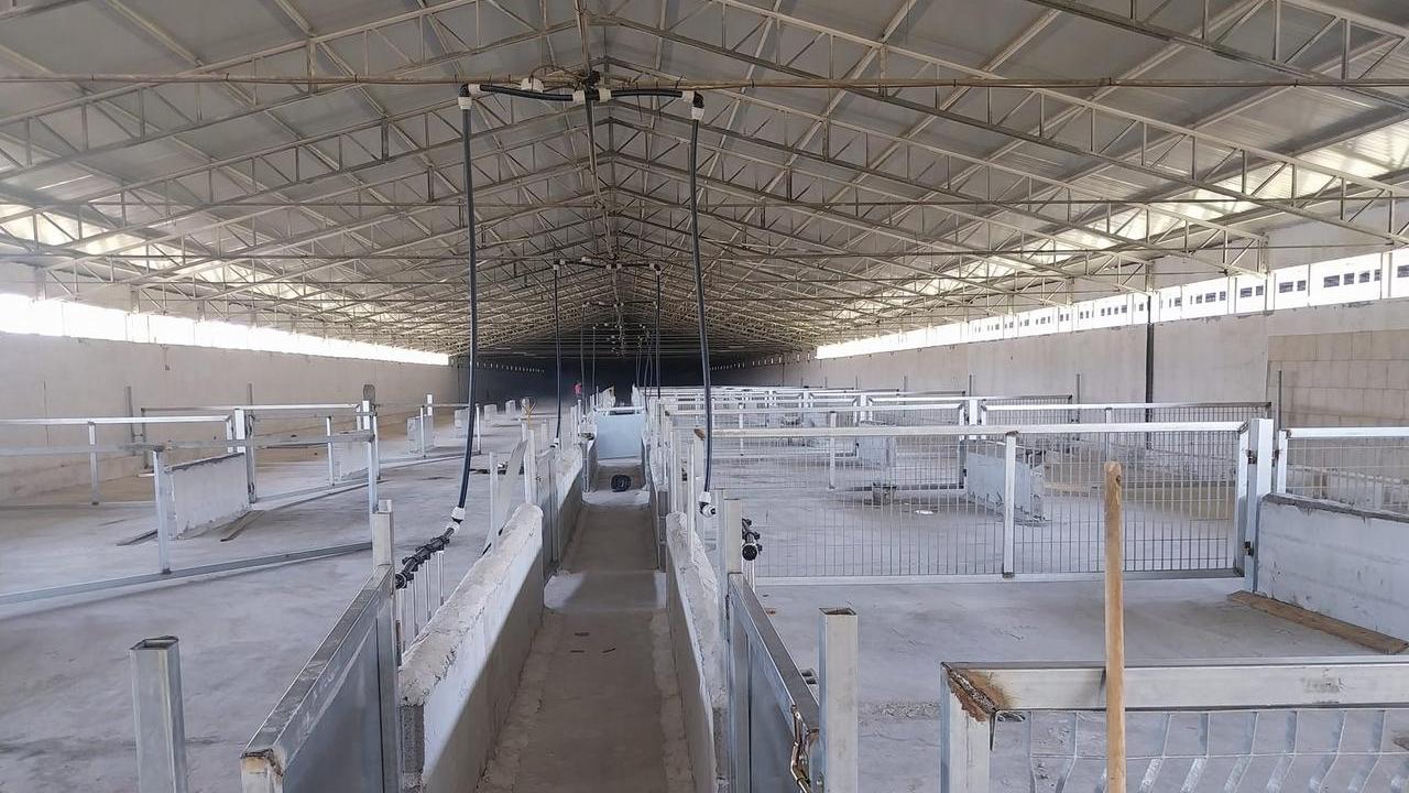 L'allevamento di suini a Caniga nell'area dell'ex pollaio a Maccia d'Agliastru