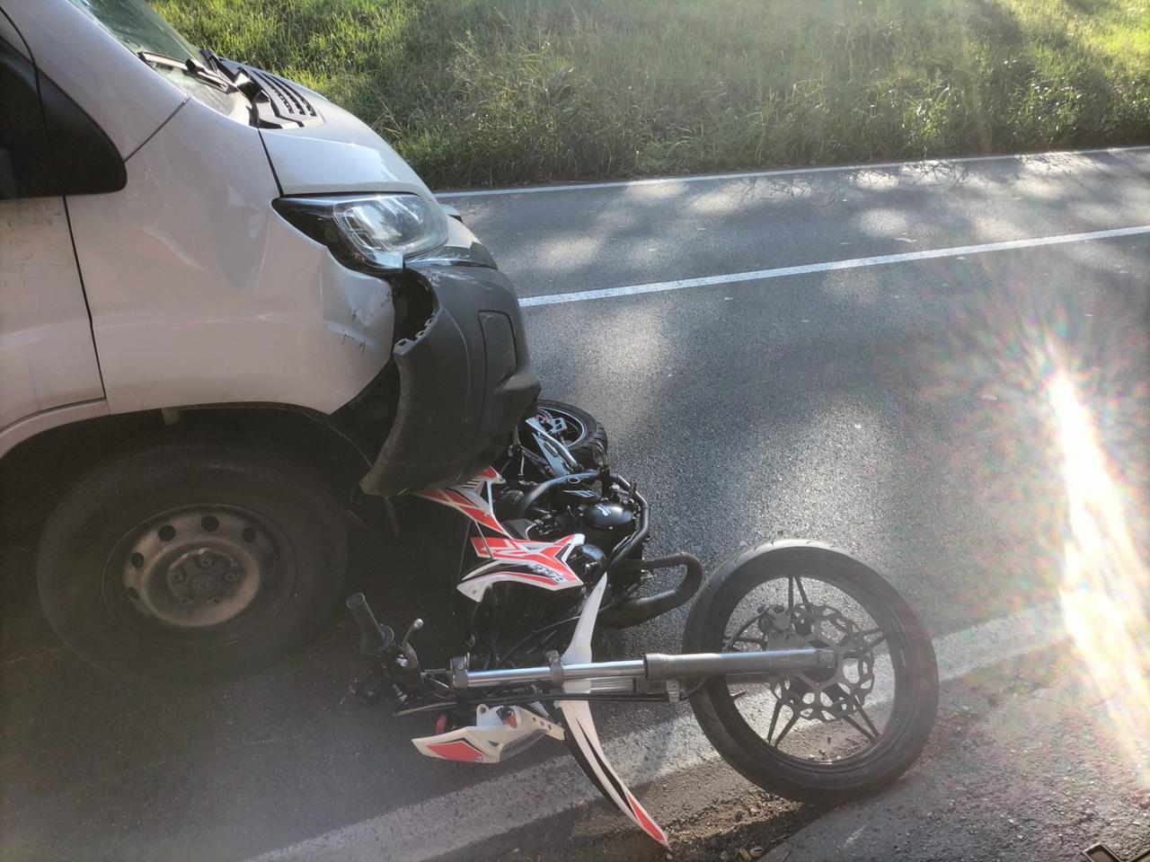 Travolto da un furone, 14enne riesce a mettersi in salvo