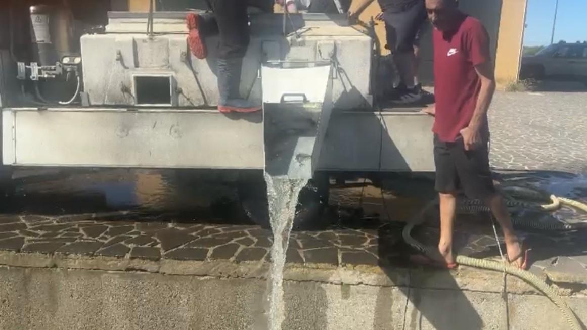 Ripopolare gli stagni per salvare la bottarga: nuovi muggini arrivano in laguna – Il progetto
