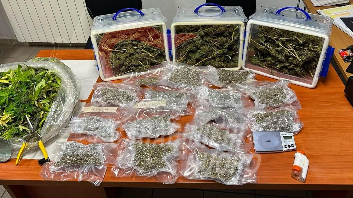 Il centro abitato pervaso dall’odore di marijuana, i carabinieri trovano un laboratorio della droga: arrestato