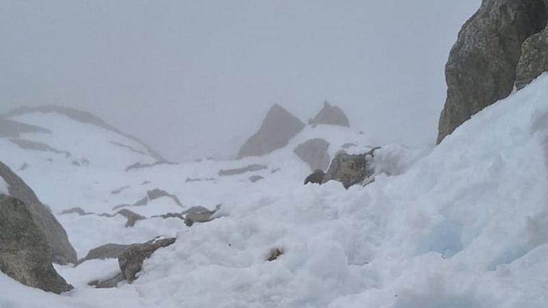Il Monte Bianco torna a crescere: quasi due metri in più, ecco perché cambia l’altezza della vetta