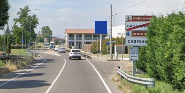«Quei cani hanno ucciso dei gatti». Allarme tra i proprietari a Casinalbo 