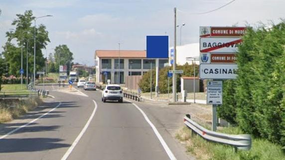 «Quei cani hanno ucciso dei gatti». Allarme tra i proprietari a Casinalbo