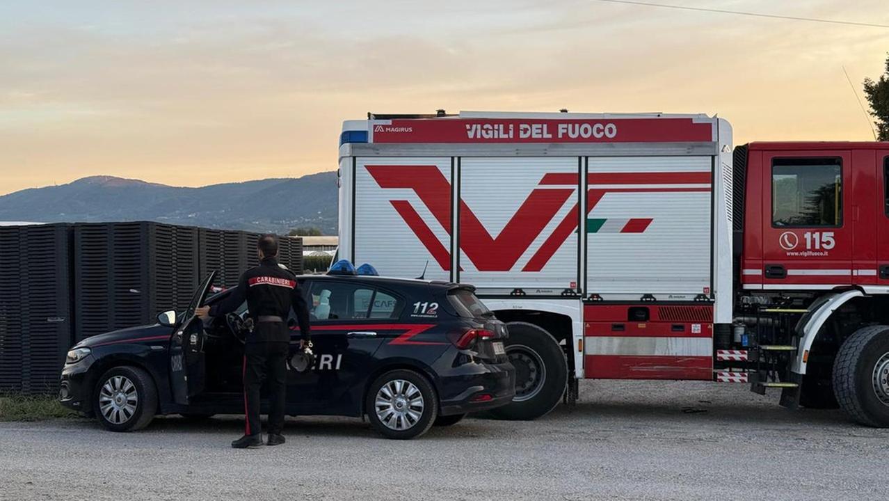 Carabinieri e vigili del fuoco all'esterno del vivaio (foto Nucci / Innocenti)