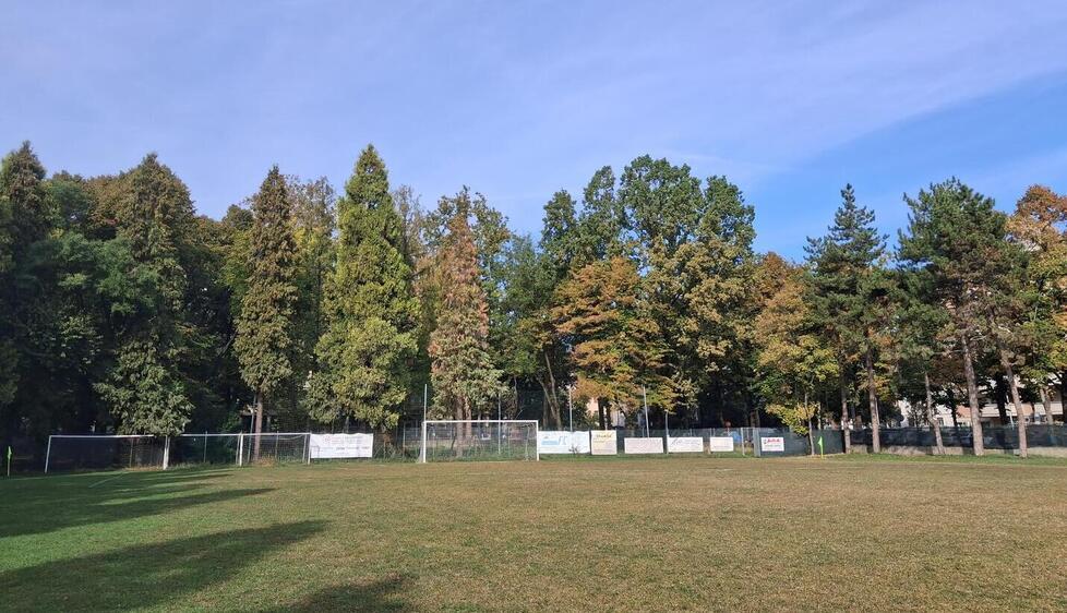 Dopo Bosco Ospizio, a rischio 80 alberi in via Melato: ecco perché rischiano di essere tagliati