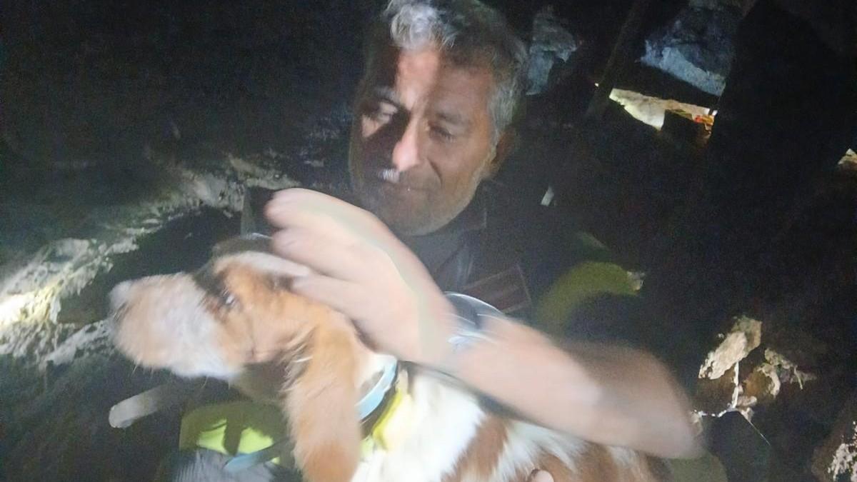 Cane finisce a 6 metri di profondità, per salvarlo arriva la ruspa