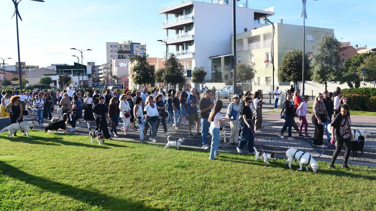 Olbia, cane ucciso a fucilate: in centinaia alla passeggiata per chiedere giustizia
