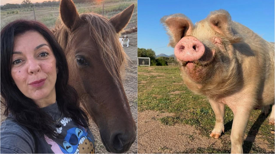 Vende casa e costruisce l’unico santuario di animali liberi della Sardegna. La storia di Alessia e del Rifugio di Miki Pig
