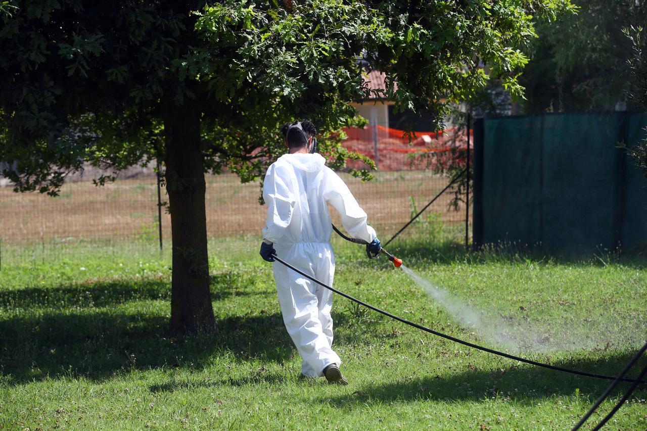 Un caso di Dengue a Castelnovo Monti: avviata la disinfestazione straordinaria