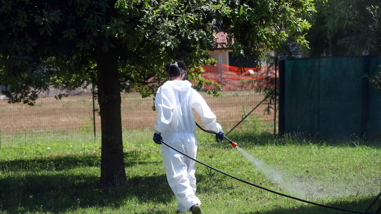 Un caso di Dengue a Castelnovo Monti: avviata la disinfestazione straordinaria
