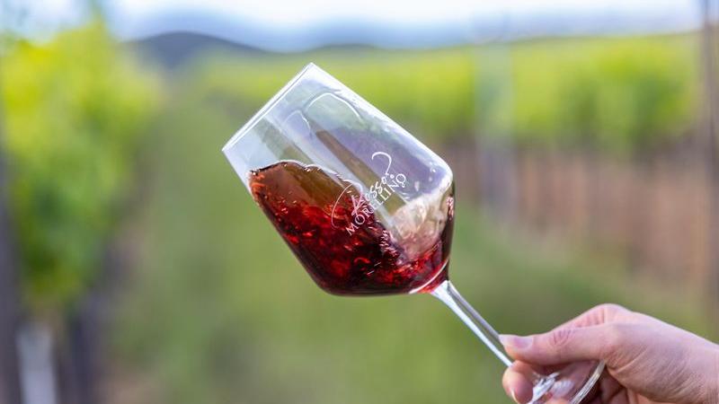 Il Gambero Rosso premia quattro vini di Scansano: chi ha ottenuto i Tre Bicchieri