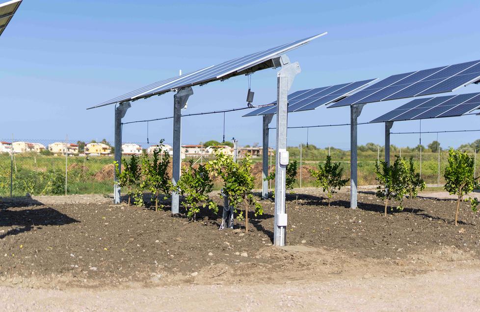 Impianto agrivoltaico in via Griduzza. «Il Comune di Carpi tuteli il nostro territorio»