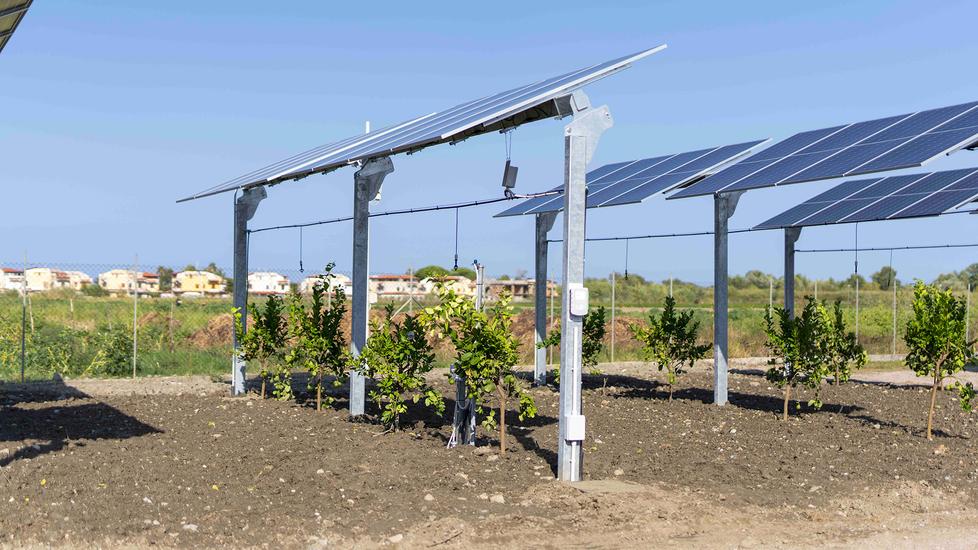 Impianto agrivoltaico in via Griduzza. «Il Comune di Carpi tuteli il nostro territorio»
