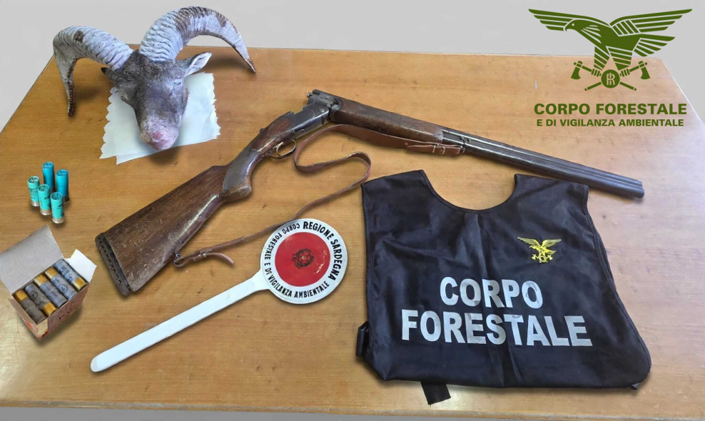 Uccidono un muflone, si danno alla fuga e speronano l’auto della forestale: denunciati