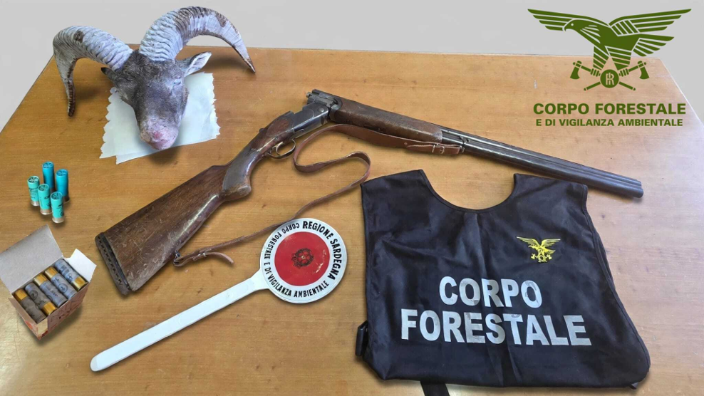 Uccidono un muflone, si danno alla fuga e speronano l’auto della forestale: denunciati