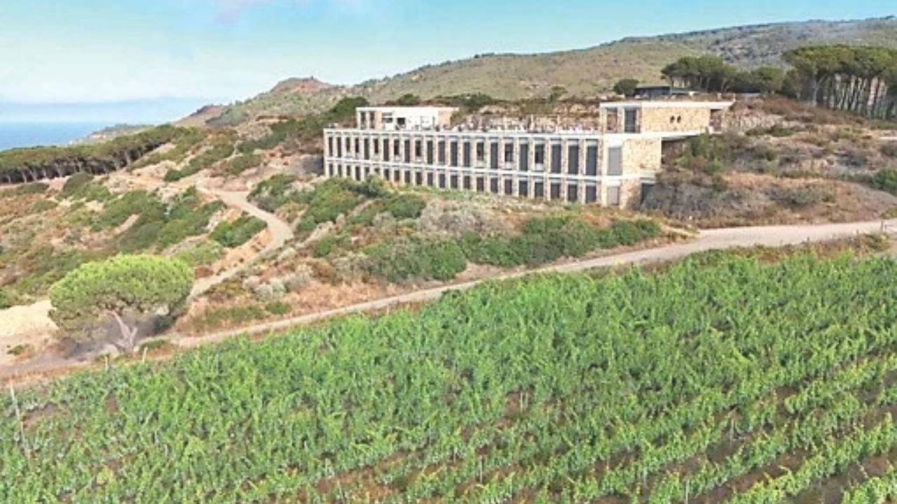 La cantina della Tenuta delle Ripalte