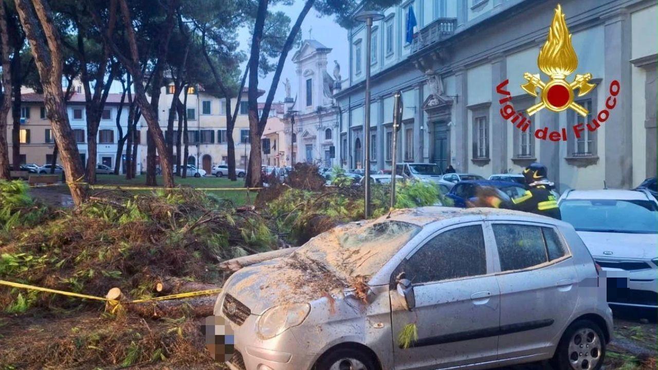 Pisa, momenti di paura: albero cade e travolge due auto