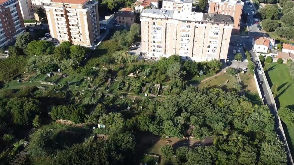 Livorno, orti urbani: c'è la data dello sgombero