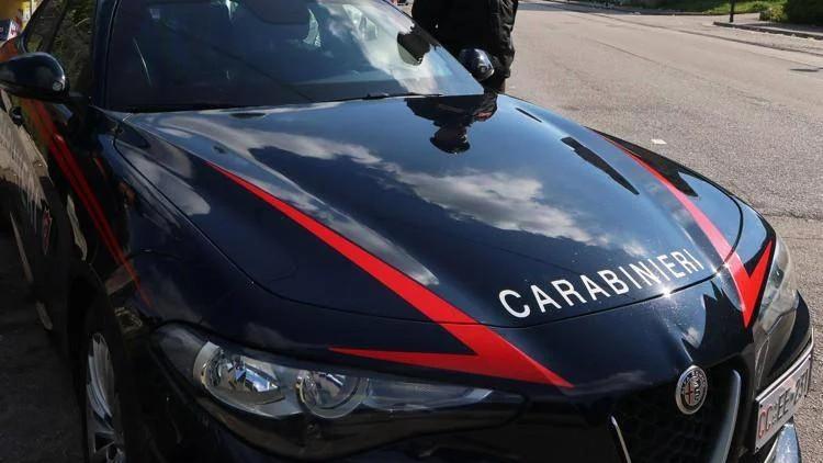 Scoperta piantagione di marijuana, il Thc 10 volte superiore al limite: 640 piante sequestrate